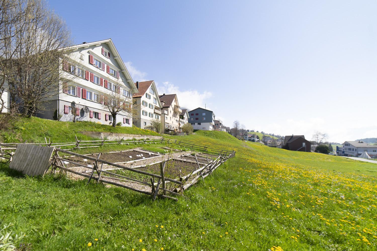 Apartament Lisighaus Wildhaus Zewnętrze zdjęcie